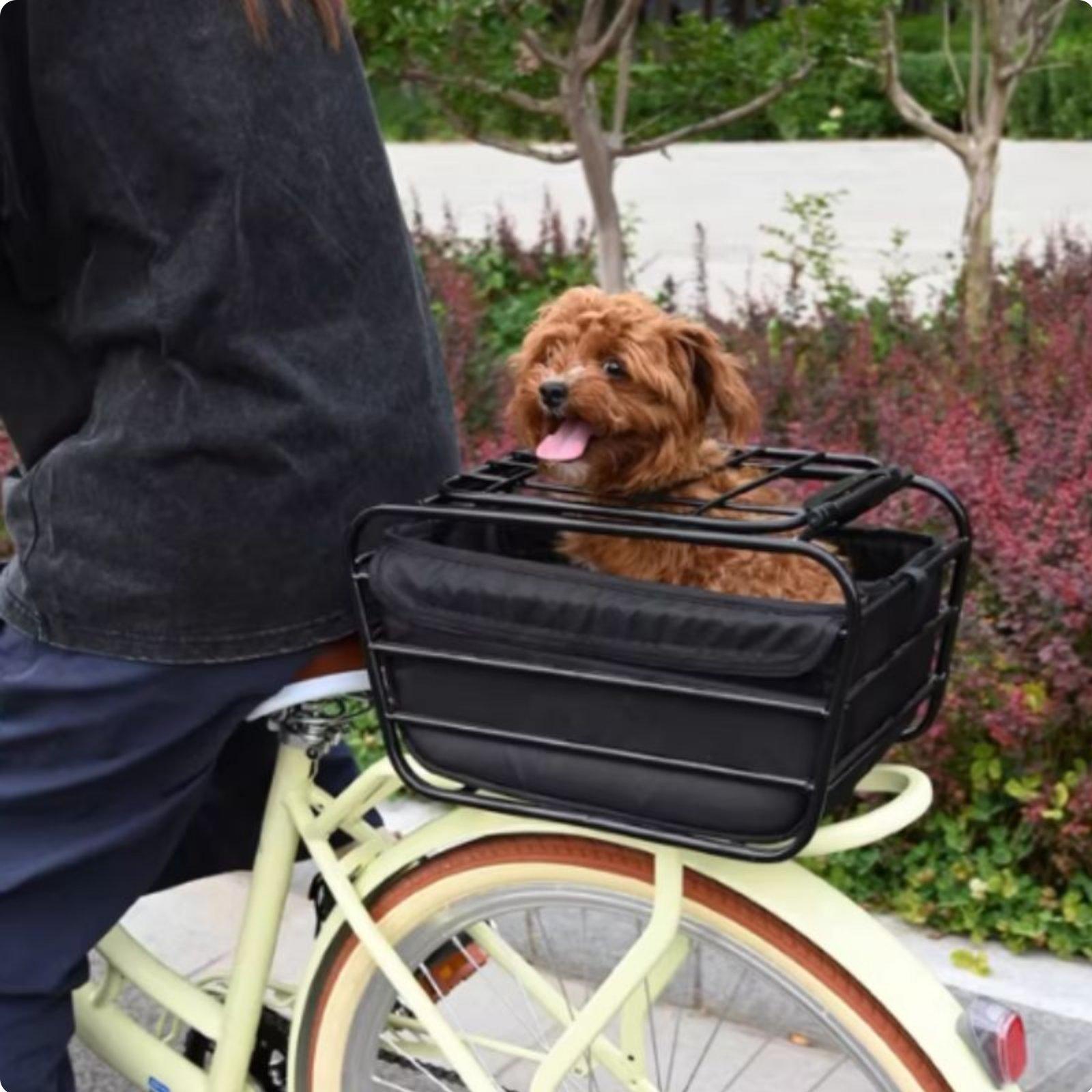 Fahrradkorb mit Hundegurt, Mou – Mountain Biking With Dog Bewertung und Preis
